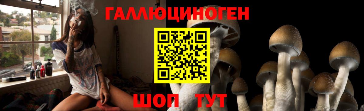 Галлюциногенные грибы MAGIC MUSHROOMS  Вход с VPN  закладки  Лабинск  Псилоцибиновые грибы Cubensis 